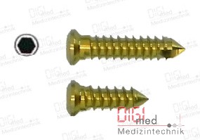 Rekonstruktions Knochenschrauben, 2.7 mm, selbstschneidend, selbsthaltend, HEX