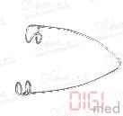 Eyelid speculum for baby eyelids